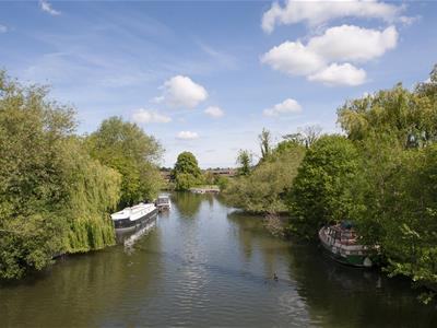 Picture 50